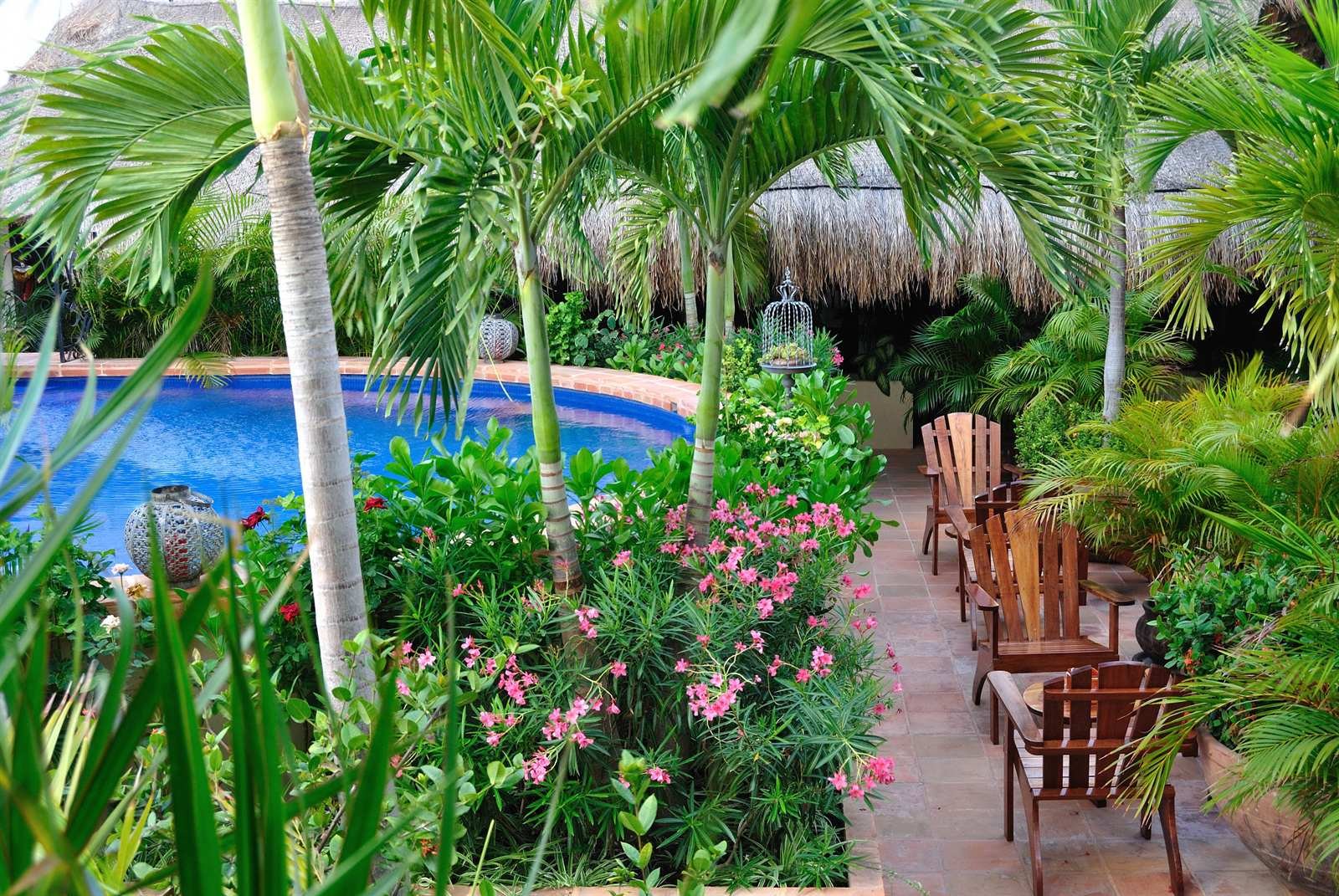 La Pasión Hotel Boutique: garden pool with wooden loungers